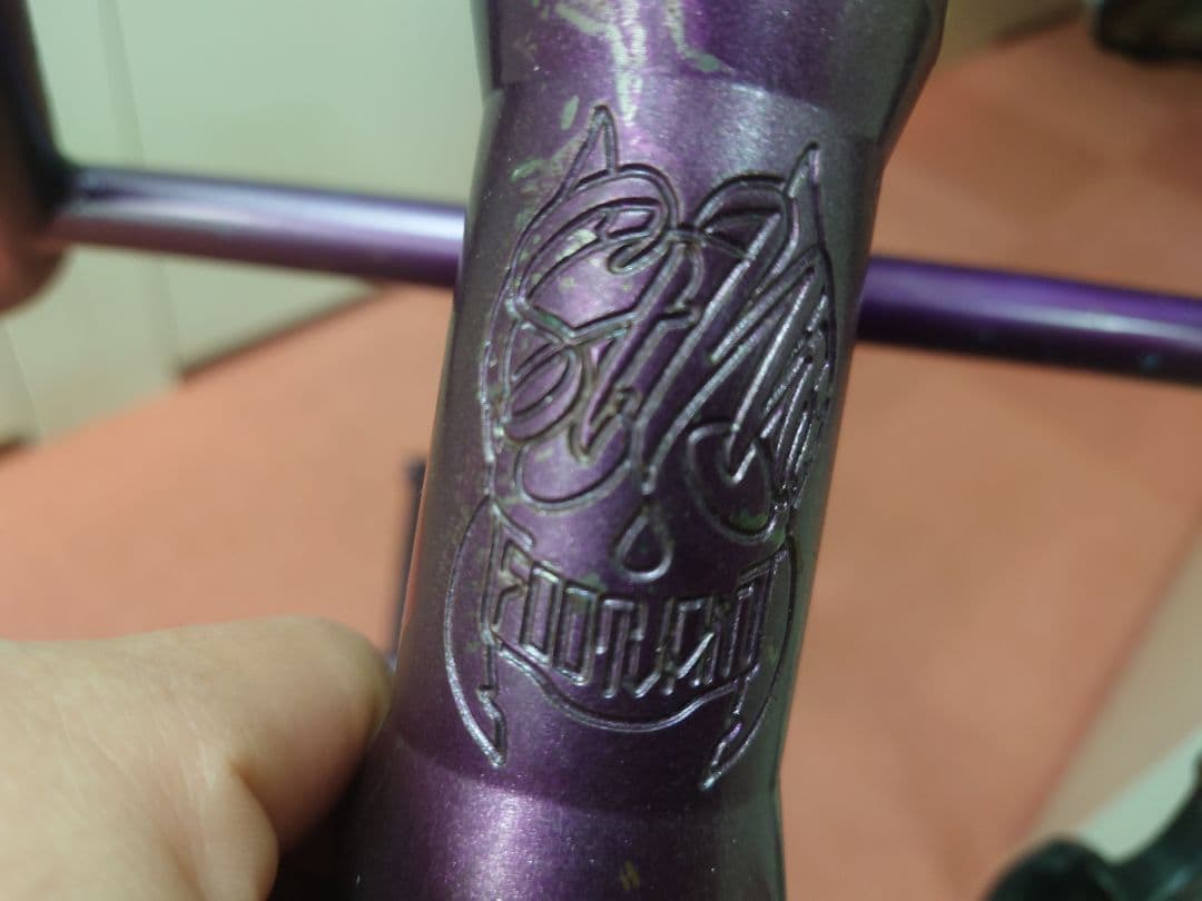 St-Martin Footjam　Bmxフラットランド　フレームセット