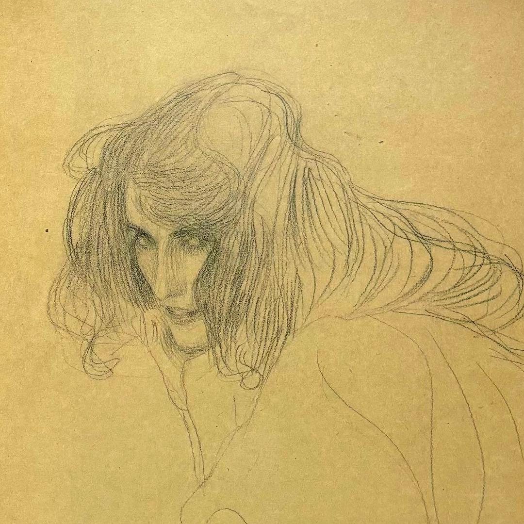 【 新品 】 KLIMT AND SCHIELE DRAWINGS