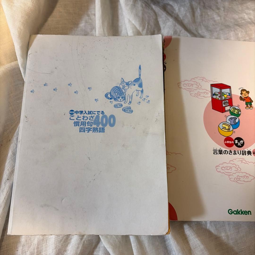 中学受験　国語　四字熟語　慣用句　ことわざ　学習漫画21冊セット