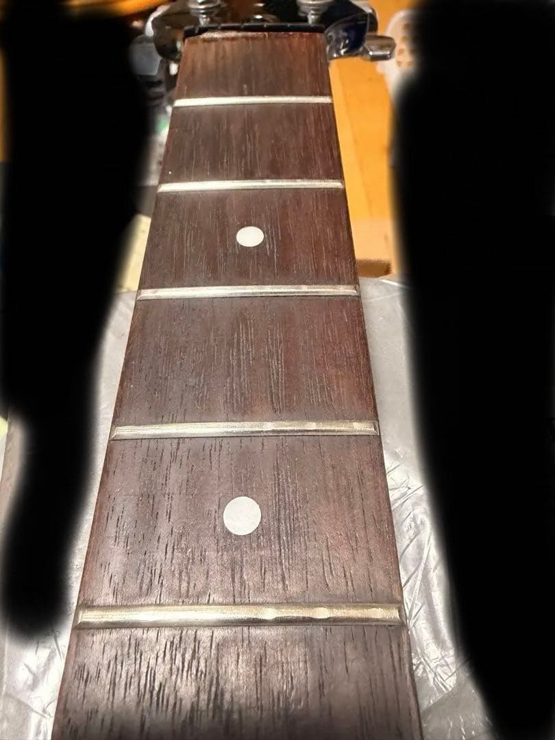 Epiphone Les Paul 100 LP-100 ギター