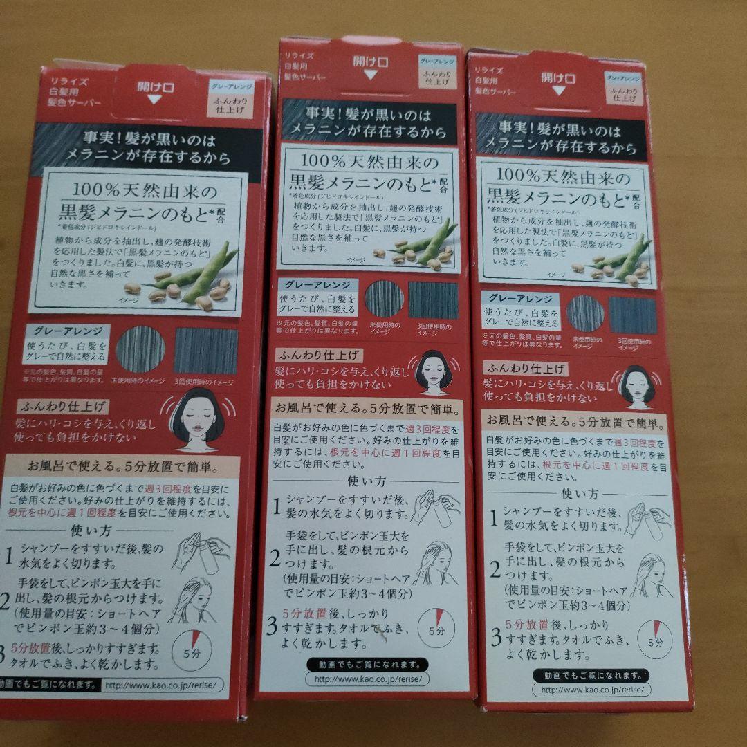リライズ 白髪用髪色サーバー グレーアレンジ ふんわり仕上げ 本体＆詰替✕２