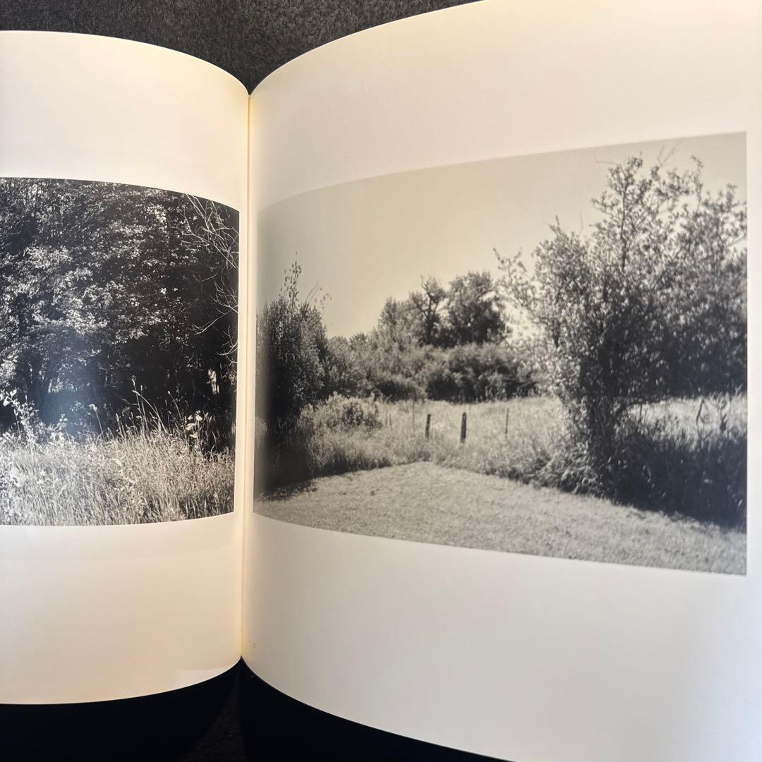 アート・デザイン・音楽 Tree Line by Robert Adams The Hasselblad