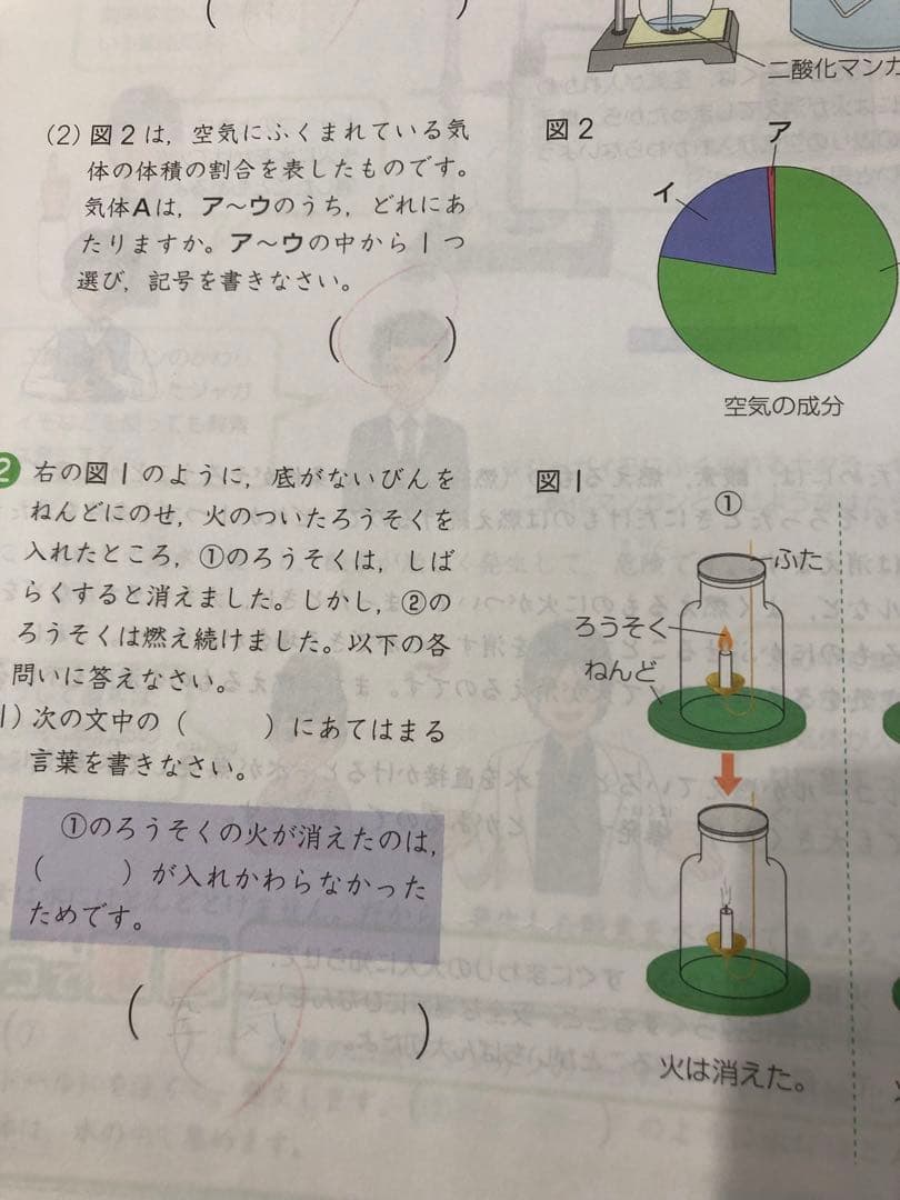 Z会 エブリスタディ6年生1年分2020年 4月号〜2021年2月号 4教科