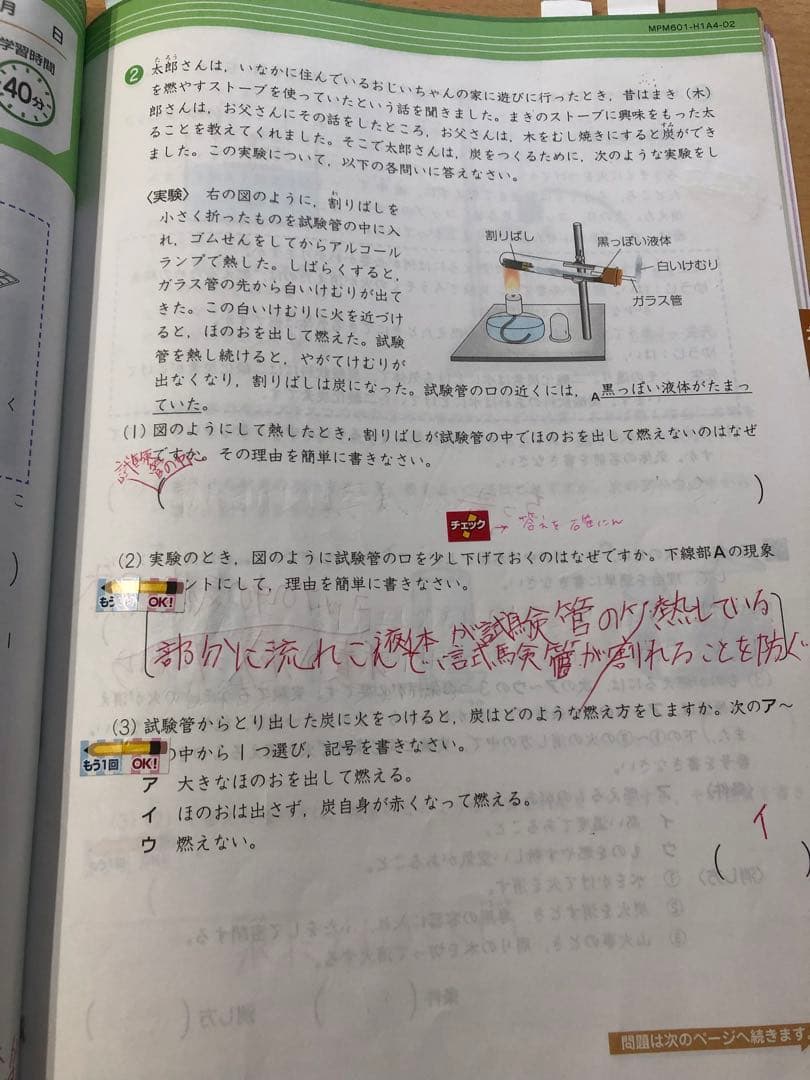 Z会 エブリスタディ6年生1年分2020年 4月号〜2021年2月号 4教科