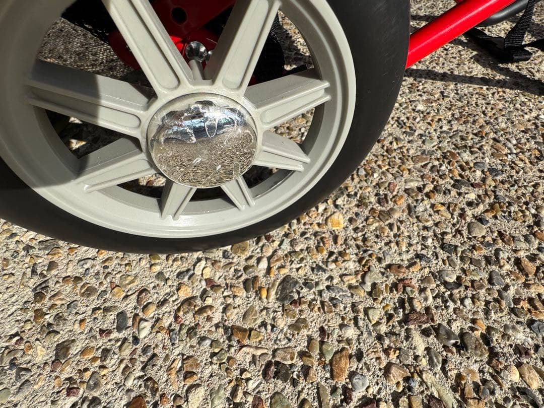 コーギー 車椅子