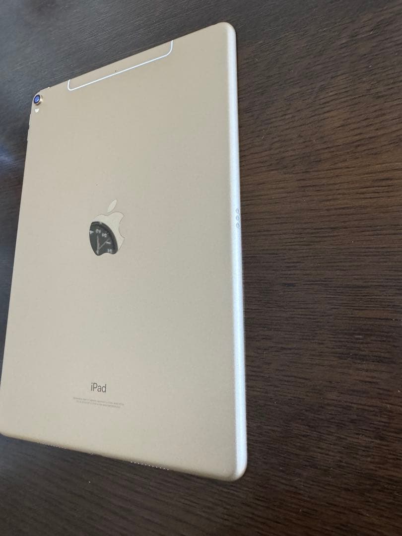iPad Pro 10.5インチ Cellularモデル (docomo)
