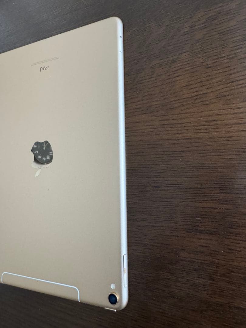 iPad Pro 10.5インチ Cellularモデル (docomo)