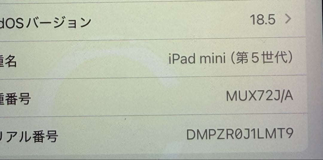 iPad mini5 ピンクゴールド64GB Wi-Fi＋Cellularモデル