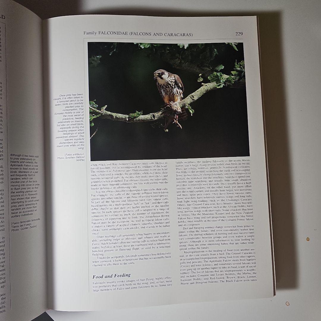 洋書 Handbook of the Birds of the World