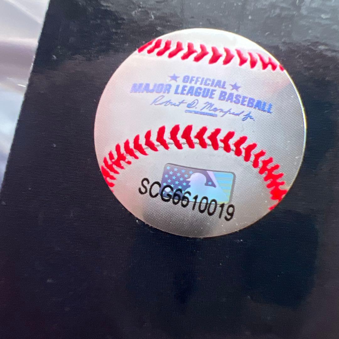 新品未開封 大谷翔平 ボブルヘッド 9.5 FOCO MLB BIGHEADS