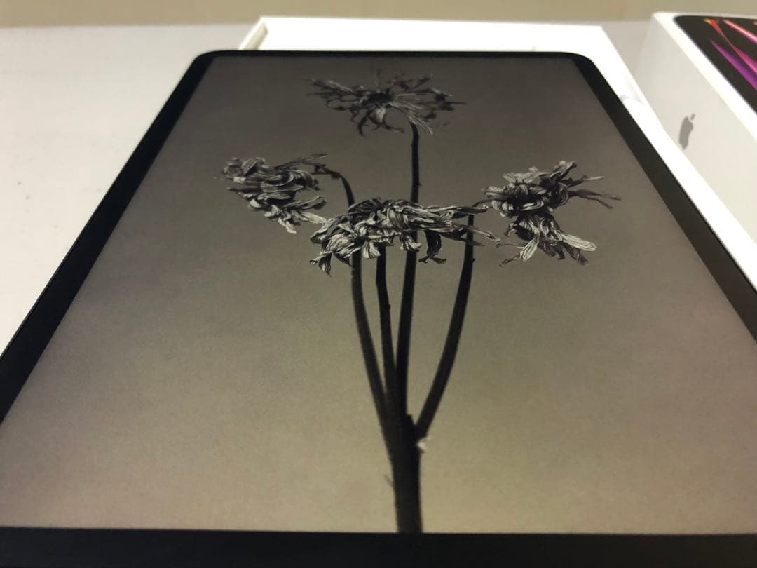 R*e様 iPad Pro 11 M2 第4世代　クリップスタジオ　液タブ　ペン