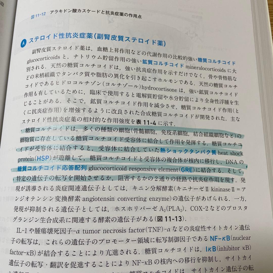 パートナー薬理学　改訂第4版