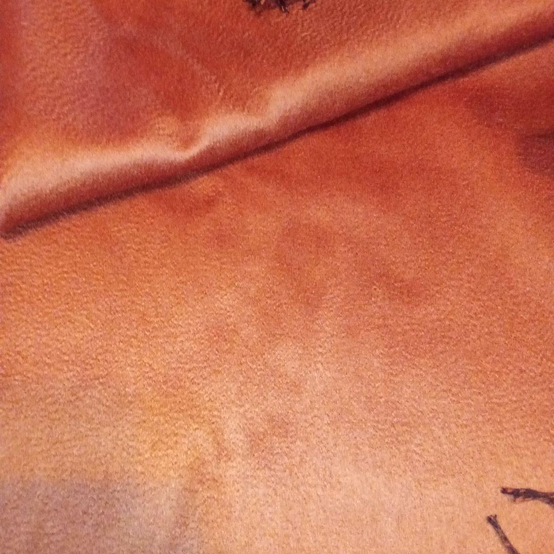 Vicuna Cashmere　　ビキューナカシミアストール