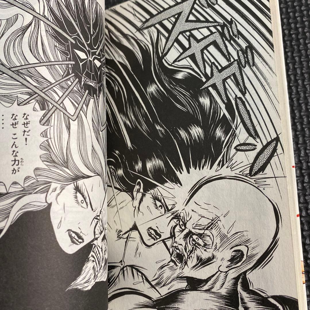 【激レア・全巻初版】地上最強の男 竜　全2巻　風忍　サンコミックス　ダイナミック