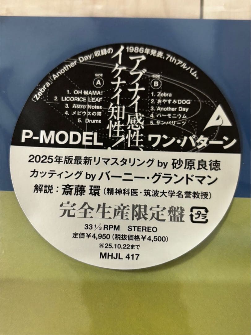 ONE PATTERN (完全生産限定盤) (アナログ盤)レコード新品未使用