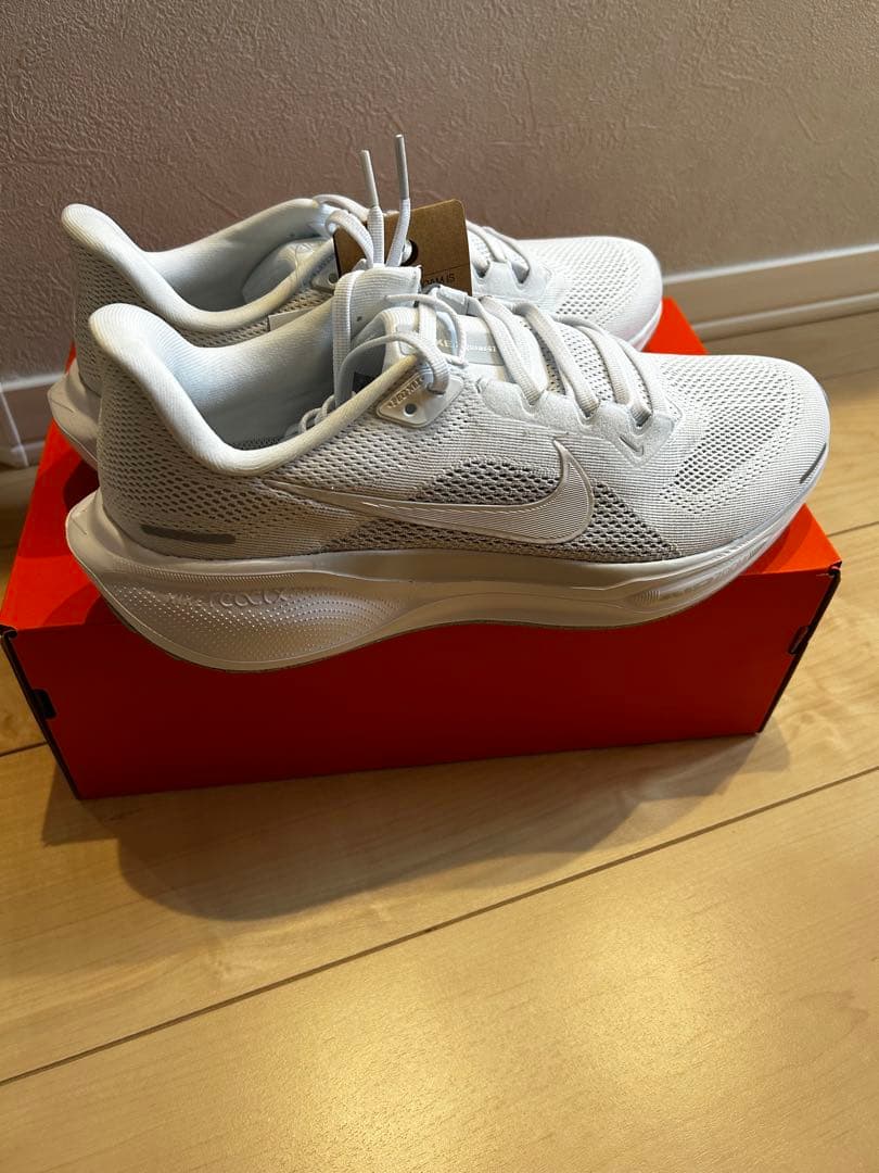 NIKE ナイキ ペガサス41 Pegasus41 28.0㎝