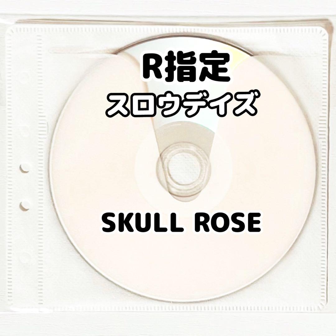 V系★R指定★オリジナルコメントDVD★特典★DVD【1-23】23点セット