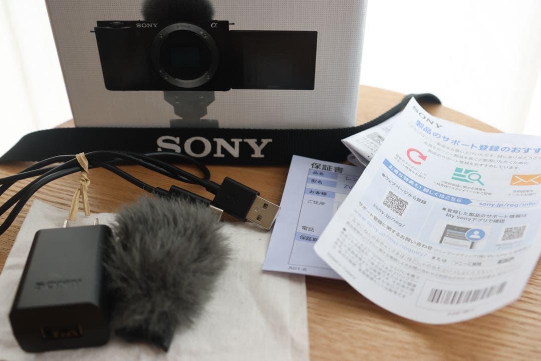 SONY ZV-E10 ミラーレスカメラ（ボディのみ）