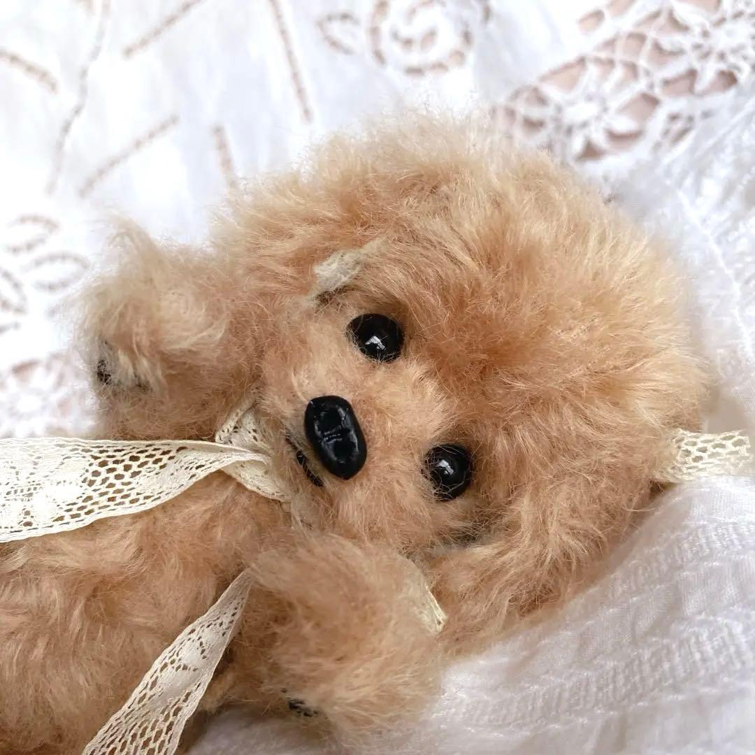 テディベア ハンドメイド 作家 ai bear トイプードル 犬 16㎝ わんこ