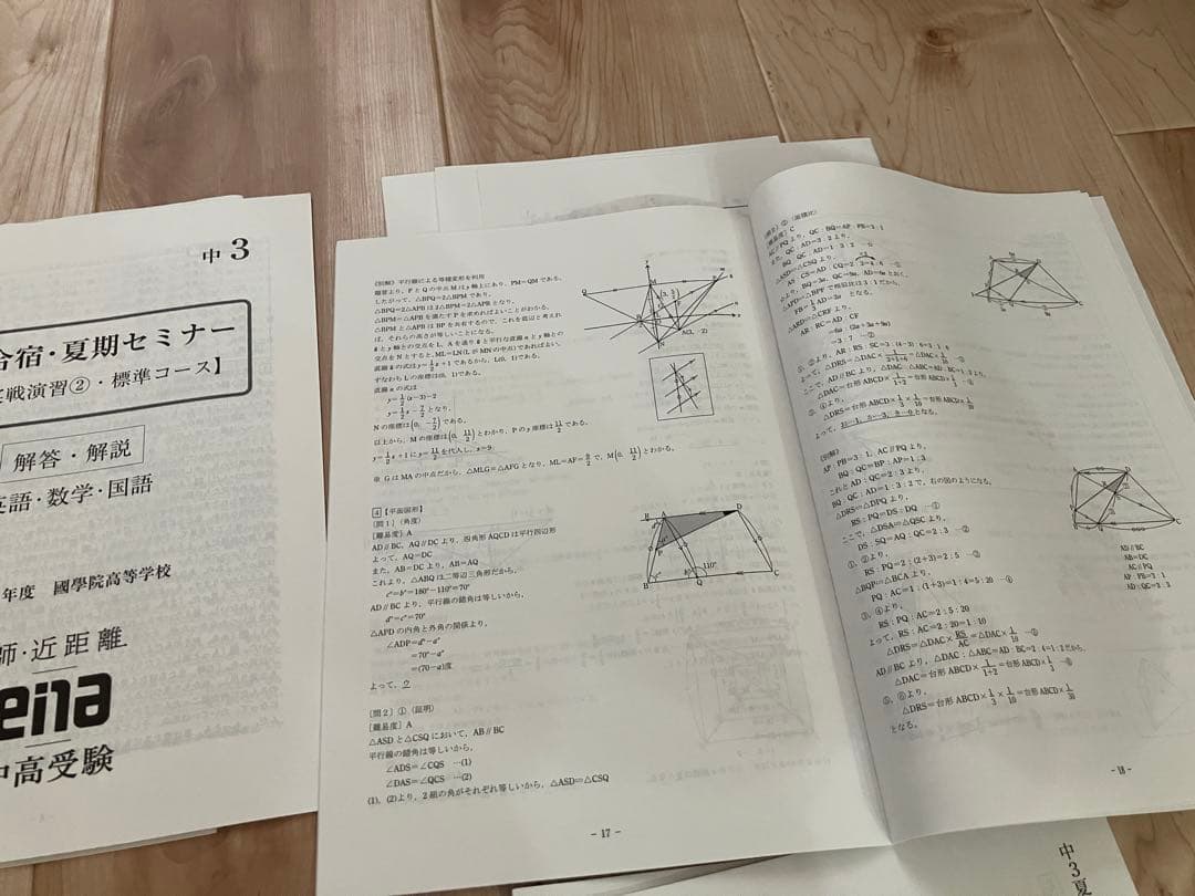 未記入 ena中3 2025年 夏期講習 合宿教材　標準コース・難関コース 解説