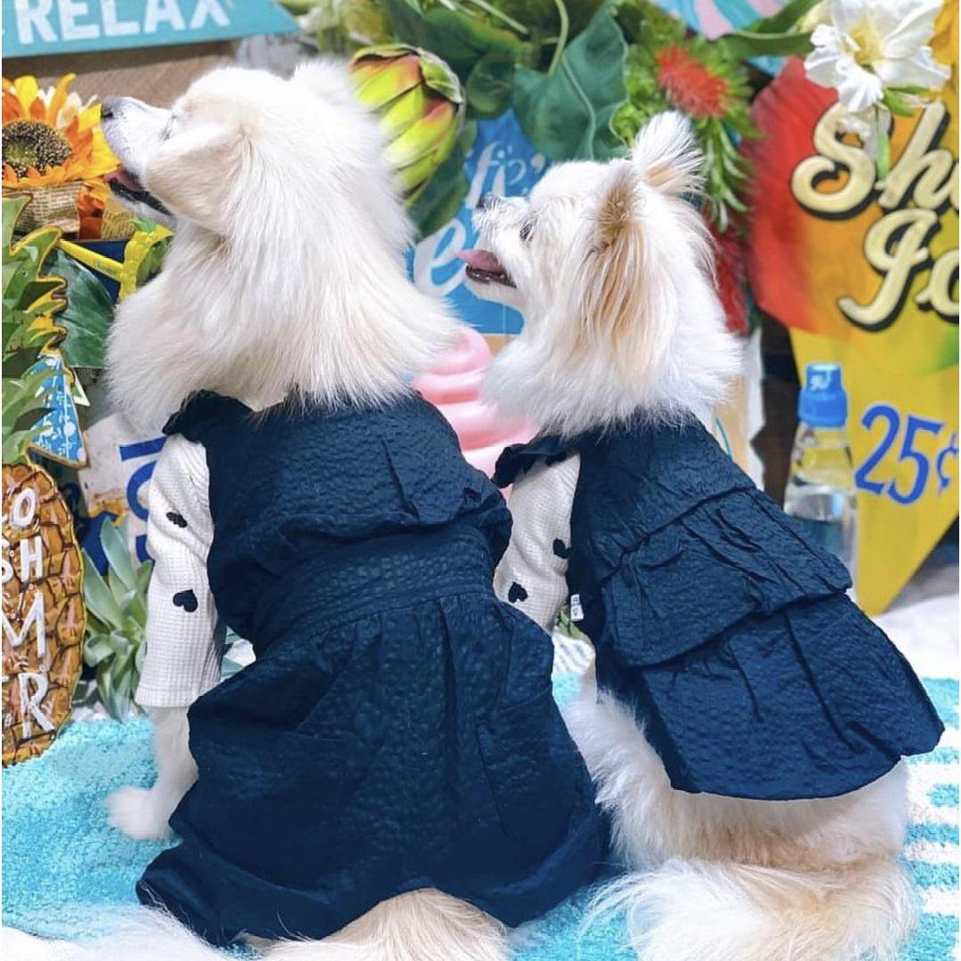 専用　　　　　　　　　　　　　　　サイズ2ロンTスカート2点セット