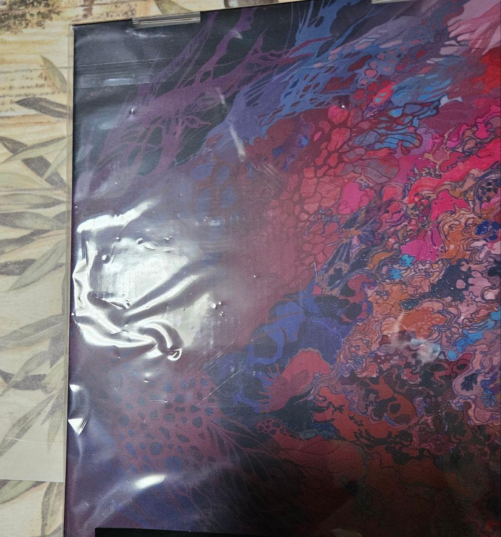 森カオペ DISASTERPIECE LIMITED COLLECTOR'S