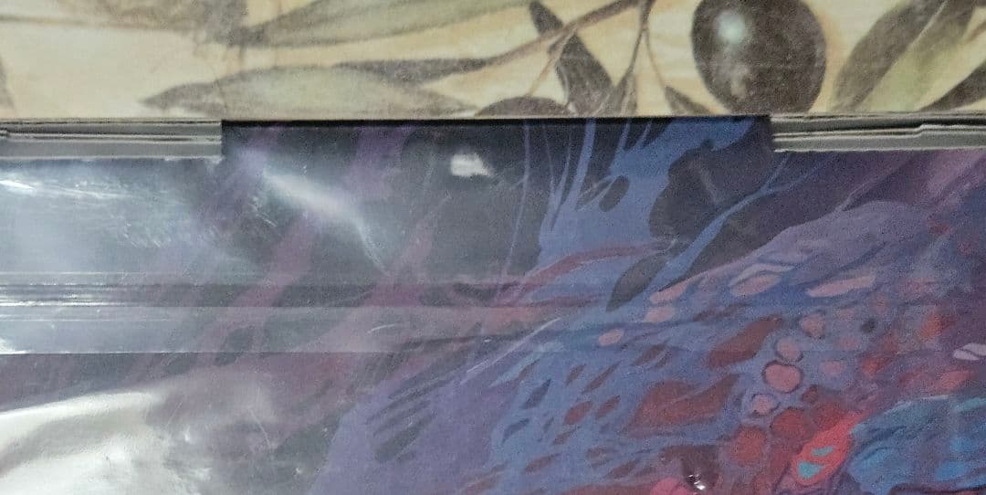 森カオペ DISASTERPIECE LIMITED COLLECTOR'S