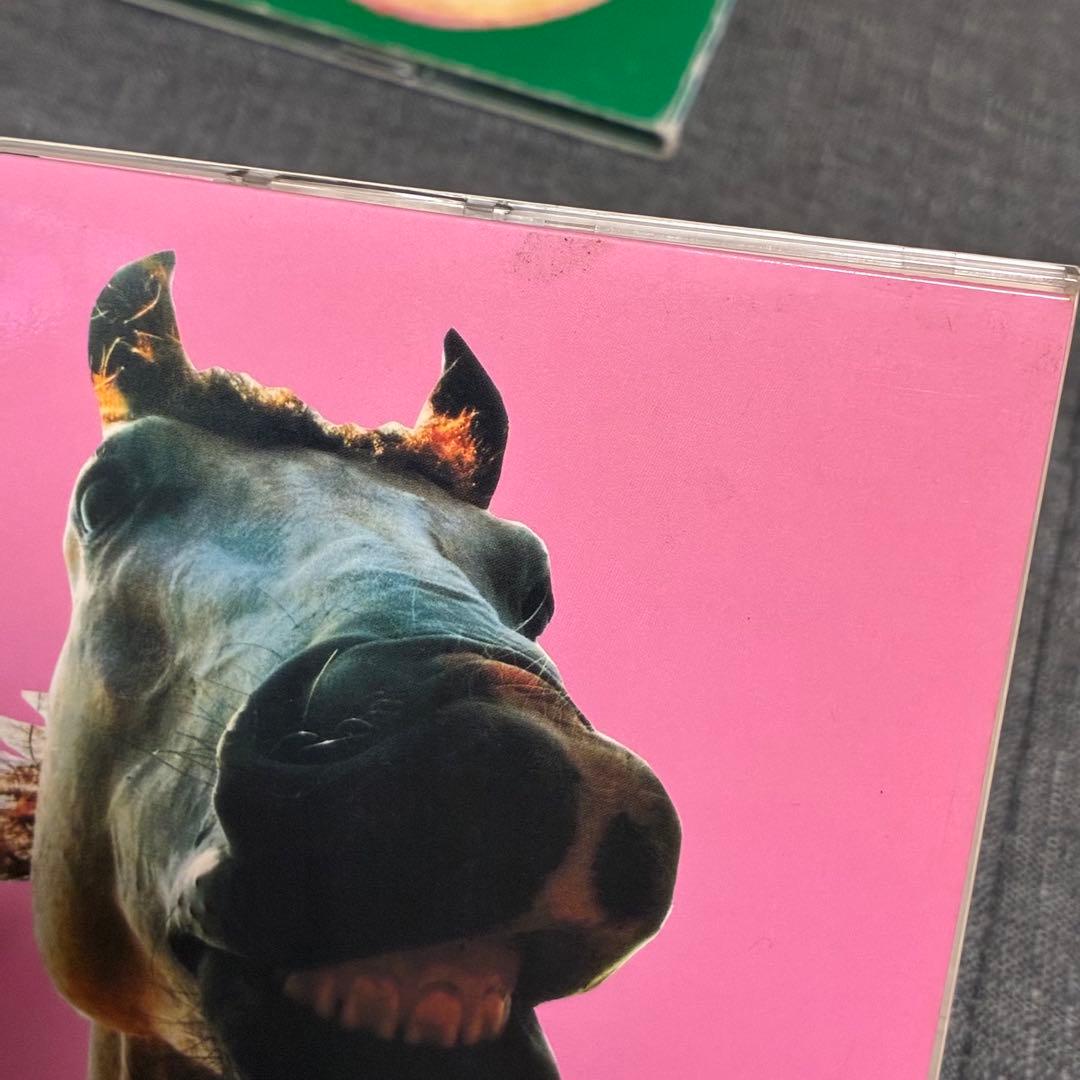 THE HIGH-LOWS CD まとめ売り