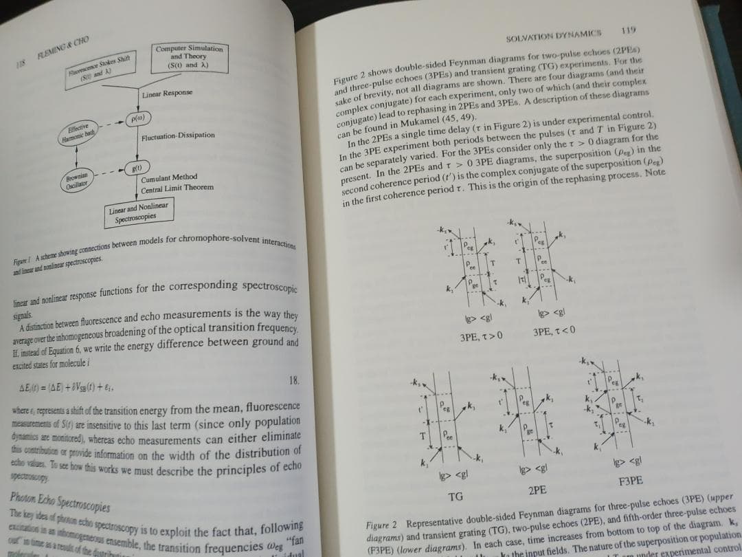 ANNU REV PHYS CHEM v47 1996 物理化学年次学術雑誌
