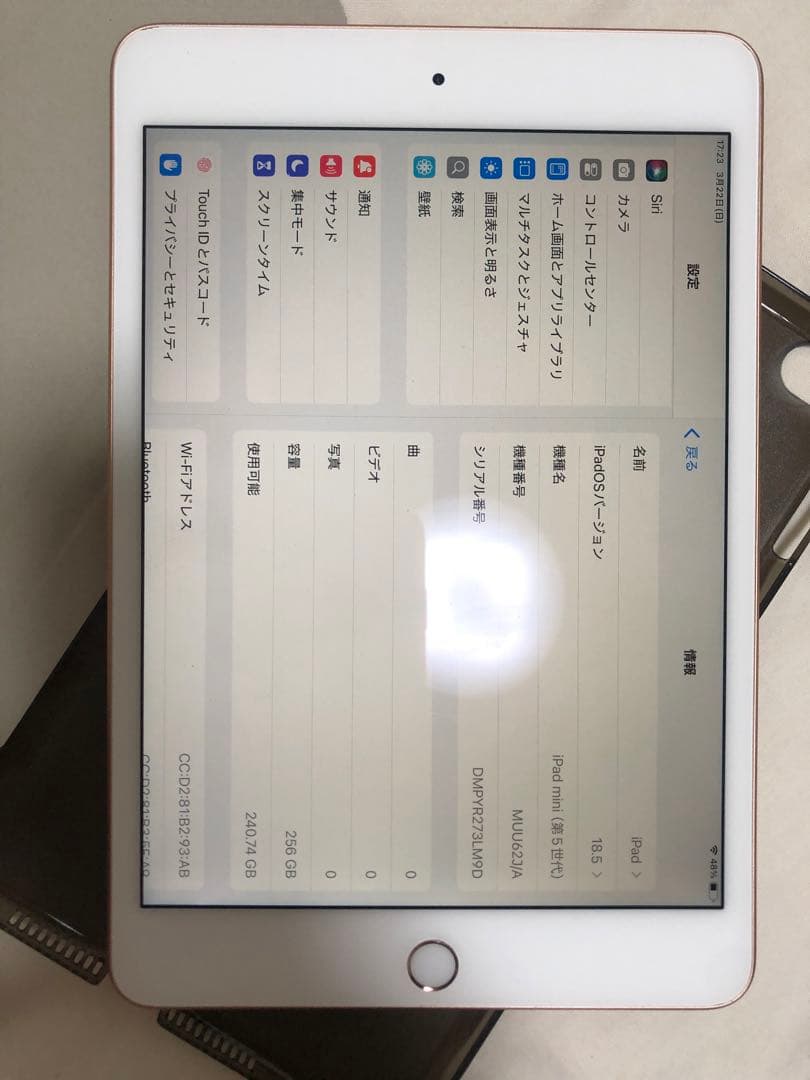 iPad mini 5.256 GB ジャンク品