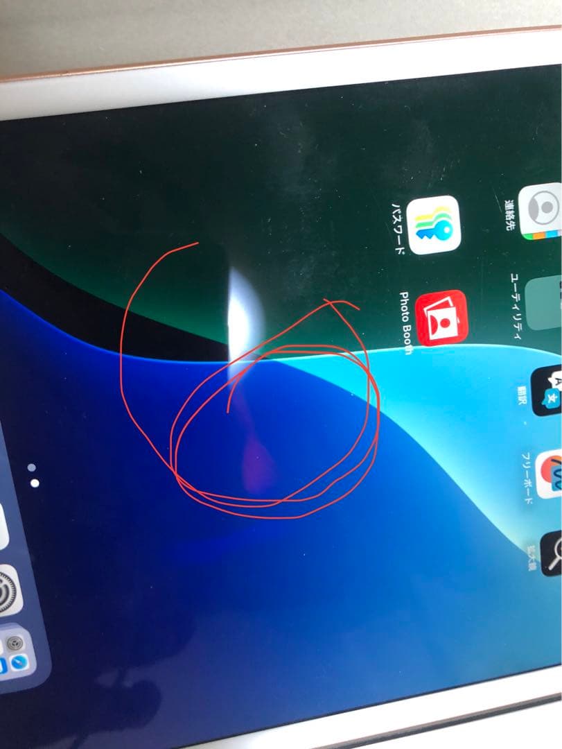 iPad mini 5.256 GB ジャンク品