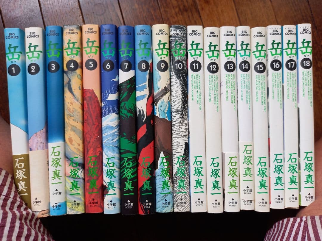 【新品同様　人気の岳】小学館漫画賞受賞、映画化もされたあの人気コミック全巻セット