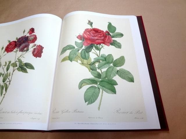 ★ 「Les Roses バラ図譜」 豪華愛蔵版 ピエール=ジョゼフ・ルドゥーテ