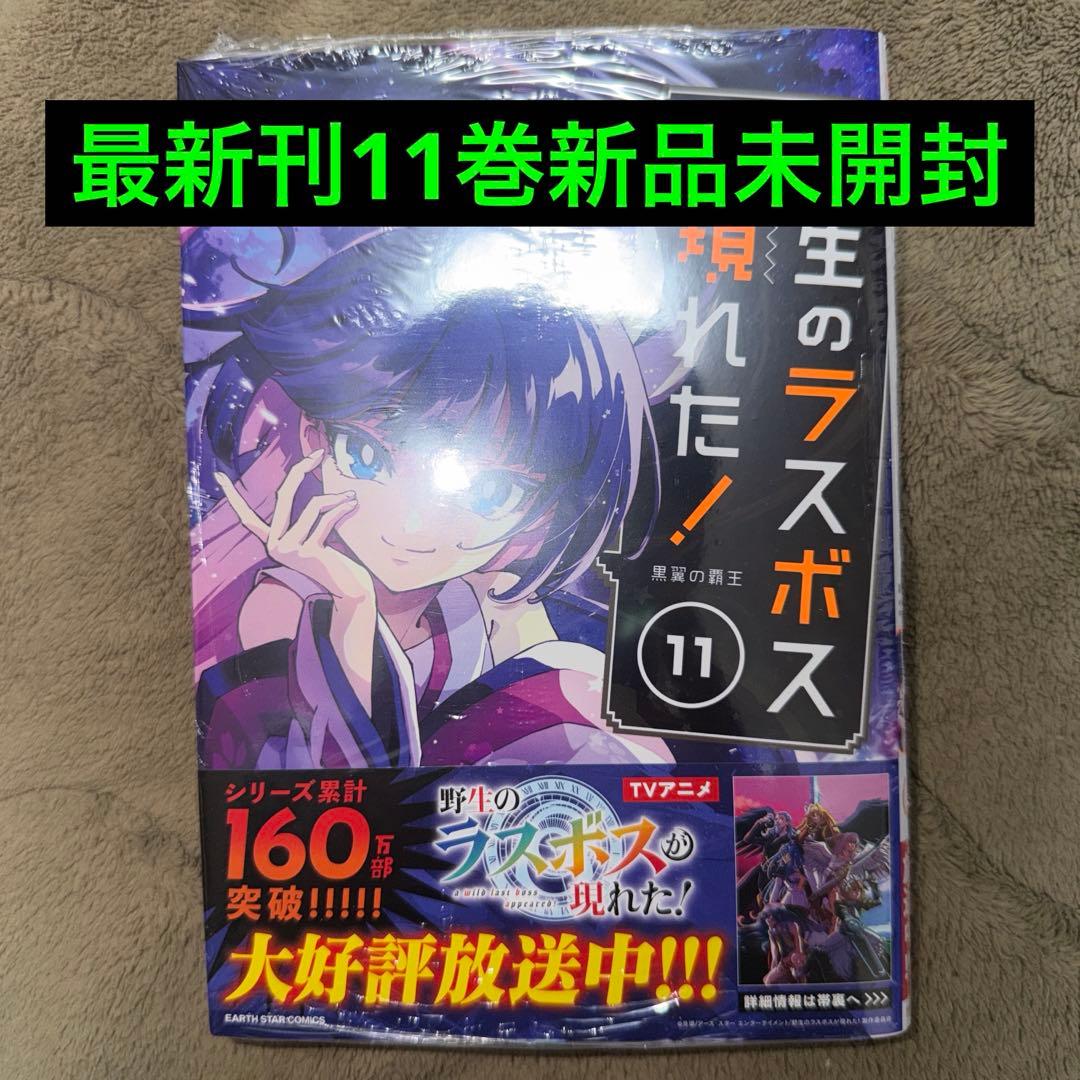 野生のラスボスが現れた! 全巻