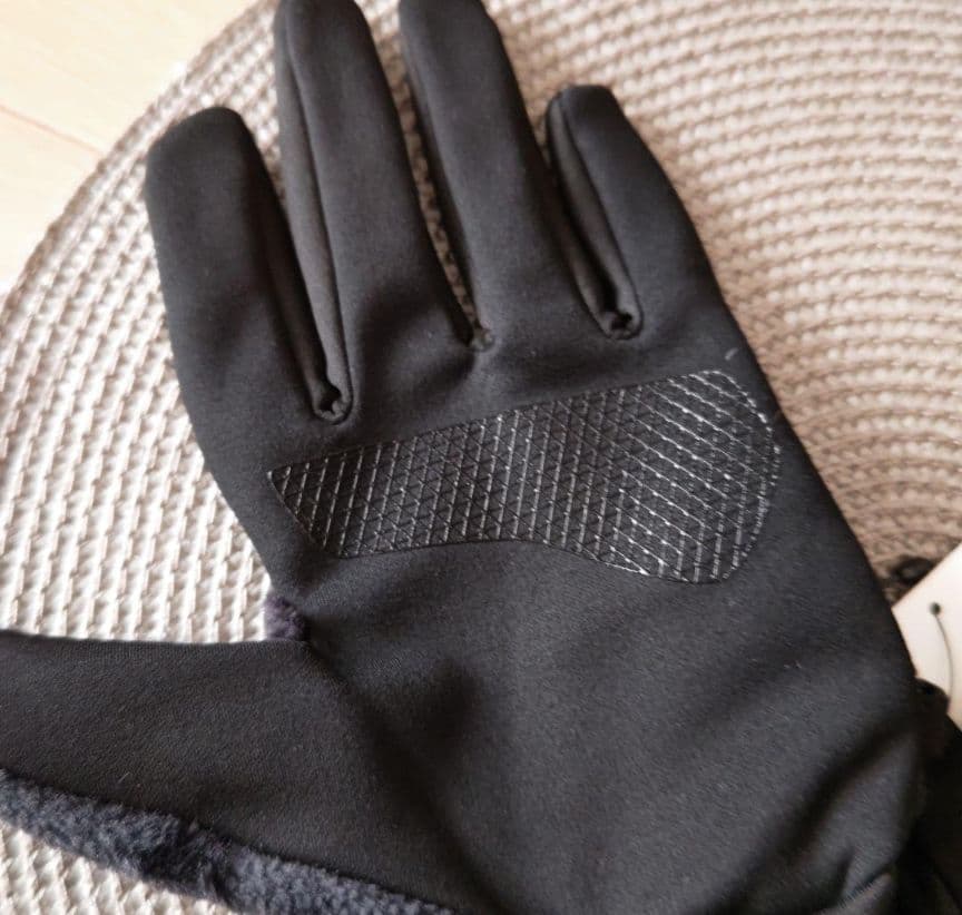 新品！＜THE NORTH FACE＞デナリ イーチップ グローブ ―