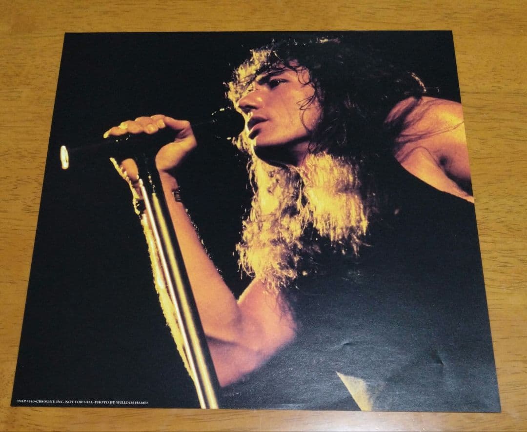 WHITESNAKE /Whitesnake 白蛇の紋章 LPレコード