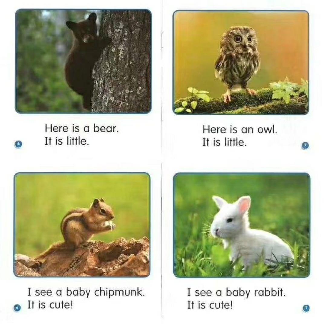 英語絵本 Guided Science Readers サイエンス・リーダー
