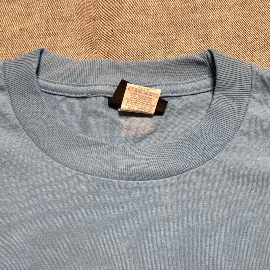 SANTA CRUZ サンタクルーズ Skate Brain Tシャツ Mサイズ