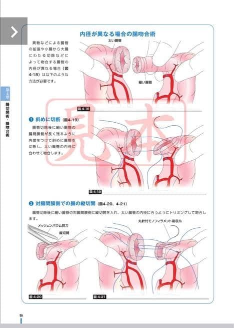 イラストで読む 犬と猫の臨床外科 CLINIC NOTE