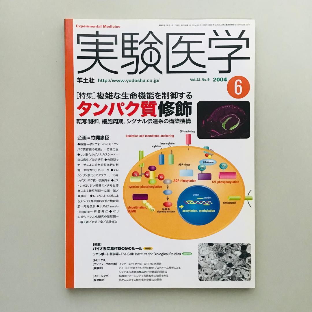 実験医学 2004年 1年分 14冊セット