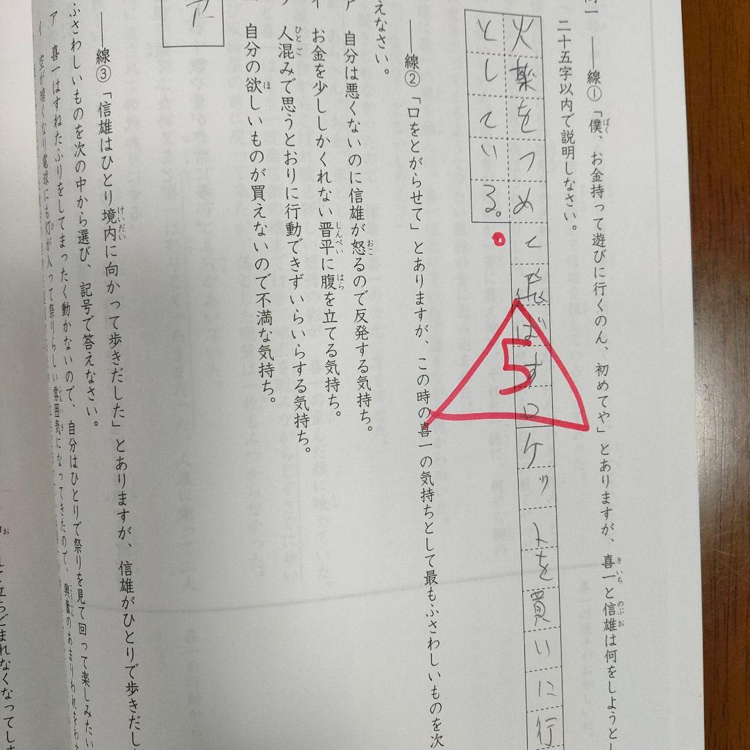 サピックス　SAPIX 小学5年1年分 国語 教材セット 欠番 なし　使用済み