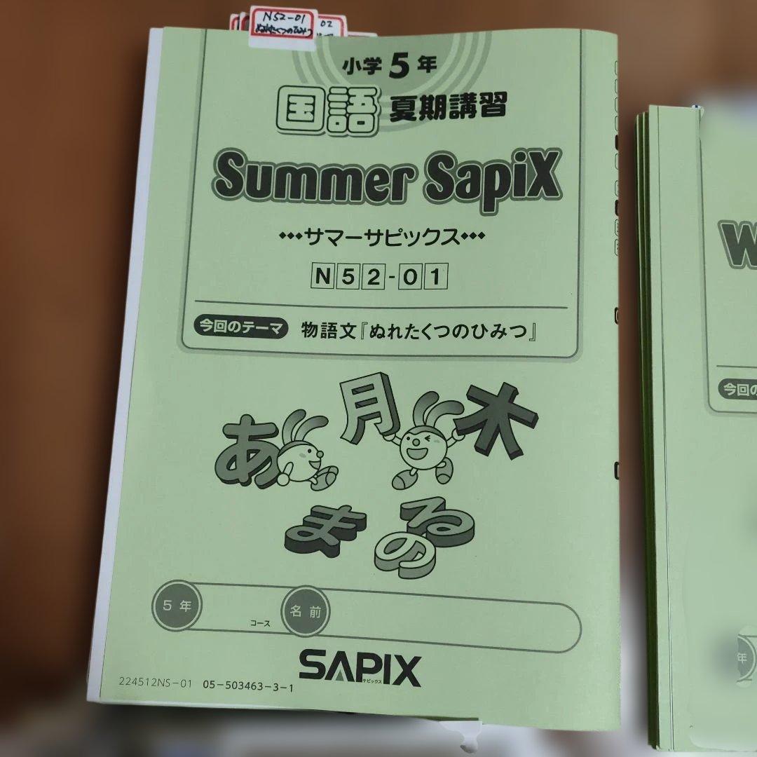 サピックス　SAPIX 小学5年1年分 国語 教材セット 欠番 なし　使用済み