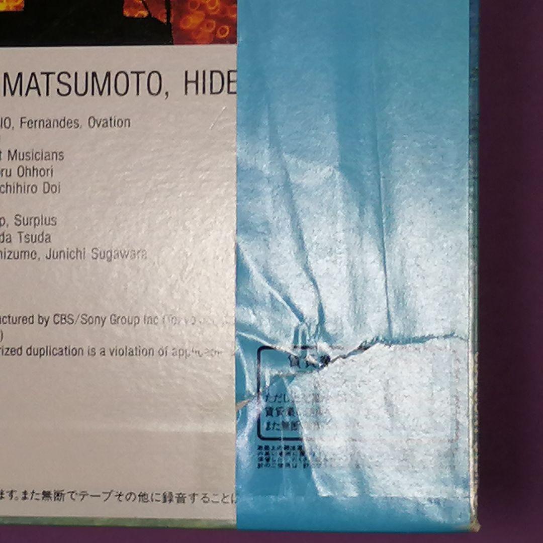 （ＬＰ）チューブ／ＳＵＭＭＲＥ　ＣＩＴＹ　帯付　ラストアナログＬＰ／長戸大幸