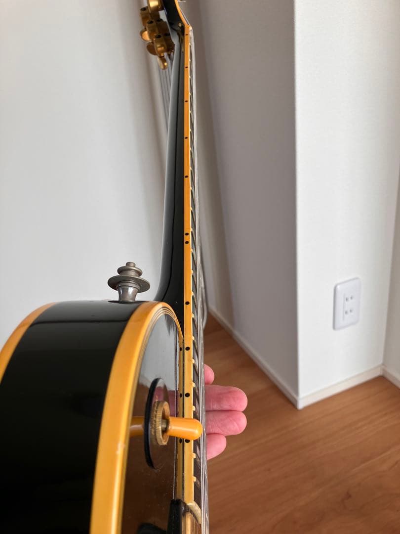 Gibson Les Paul custom プレヒストリック