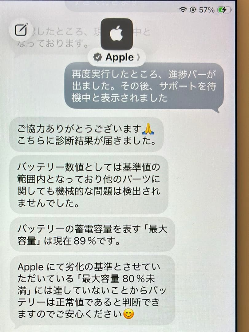 ipad mini cellular 5世代 64GB シルバー