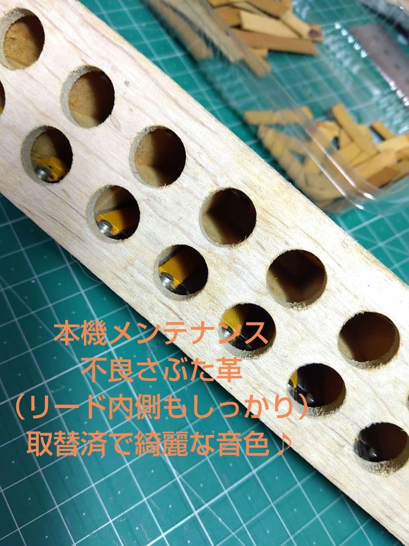 【即演奏可】TOMBO T32 アコーディオン 整備簡易調律済 30鍵32ベース