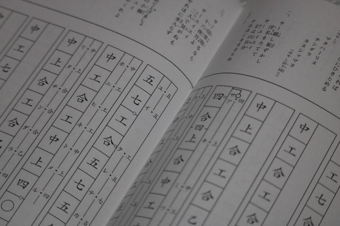 沖縄三線セット（人工皮張り）教本と初心者に必要なお得な付属品付 新品未使用