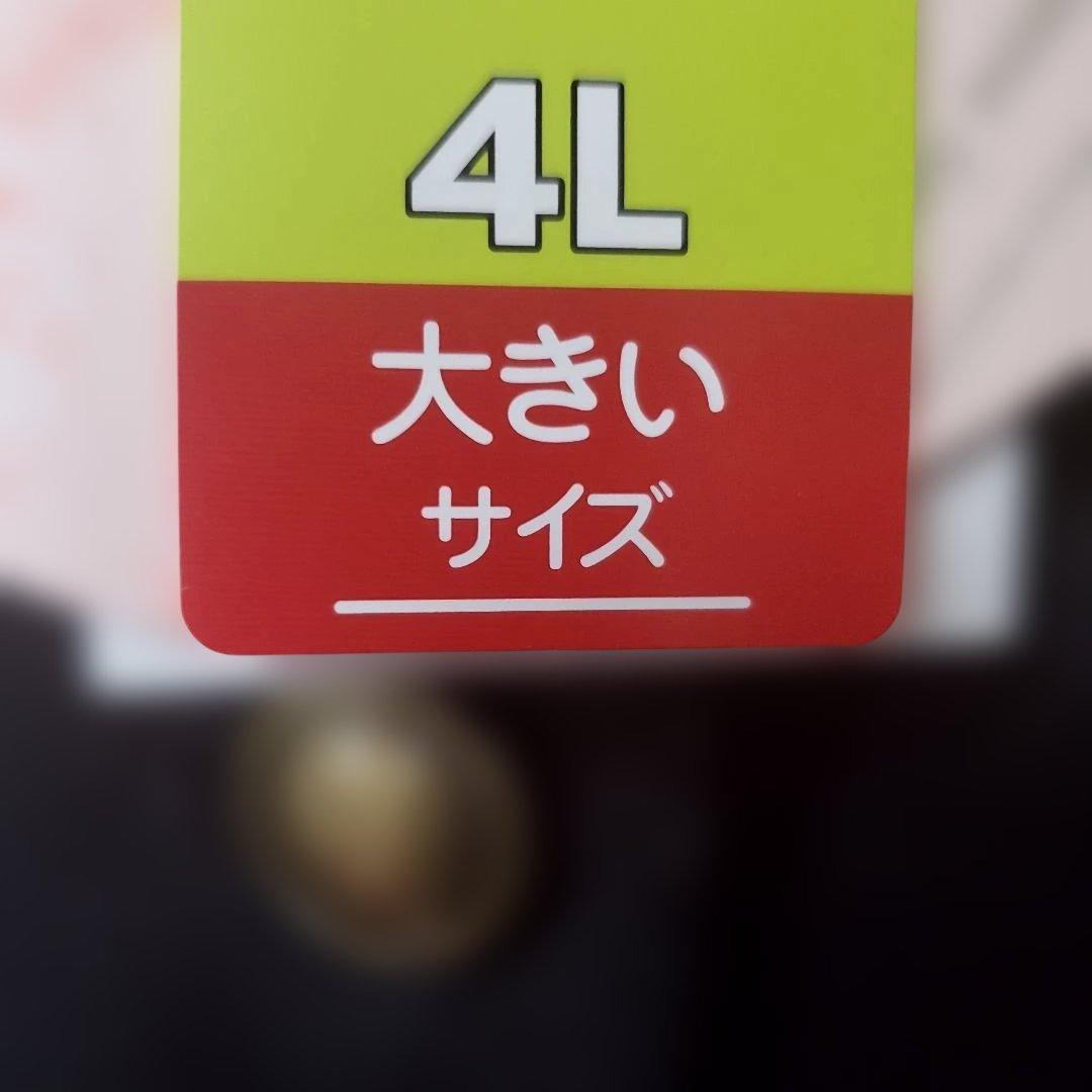 しまむら　青木美沙子　ニナス　ケープコート　中黒　4L