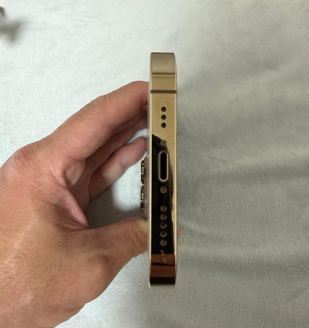 iPhone 13 Pro 1TB 機能不具合無し 画面ひび割れ