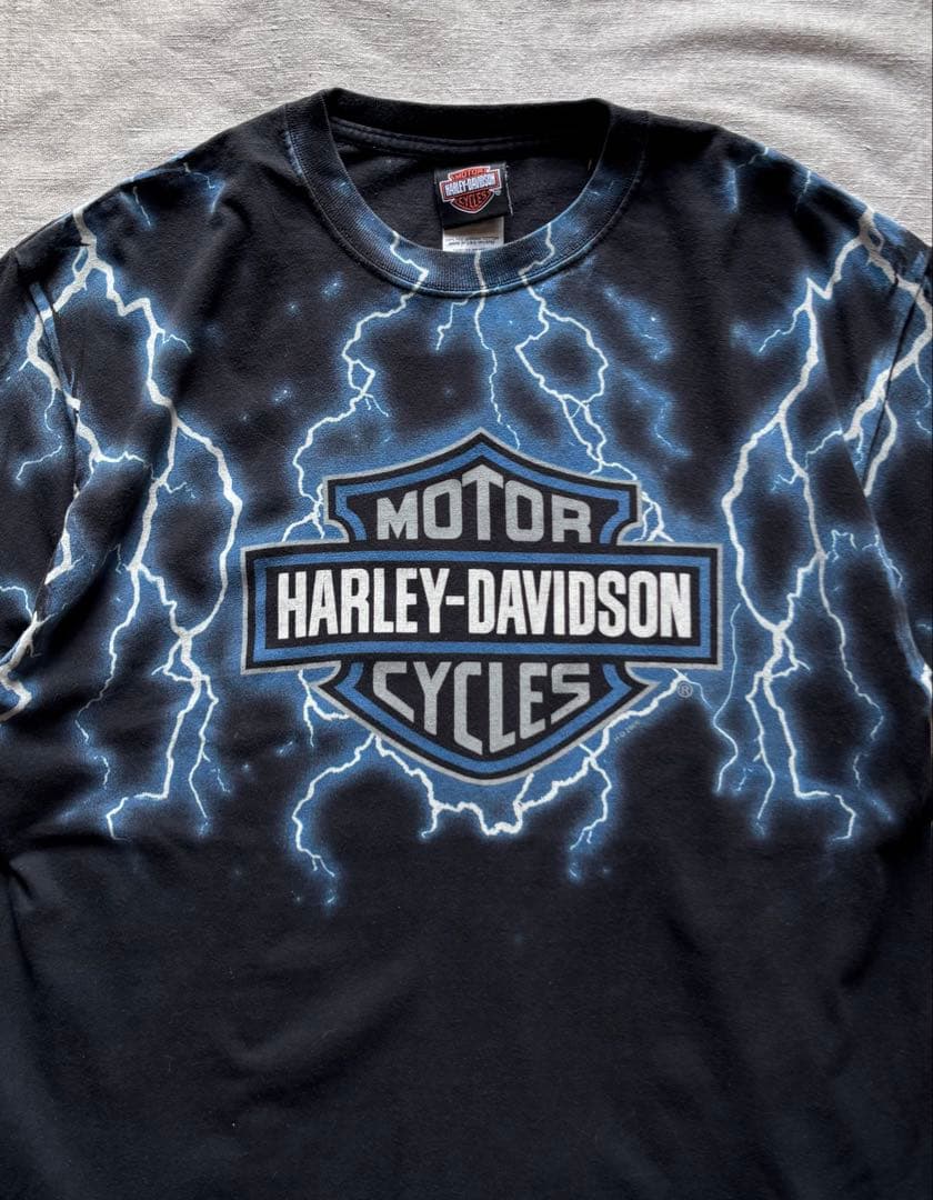 【Special】 USA製 HARLEY DAVIDSON サンダー アメカジ